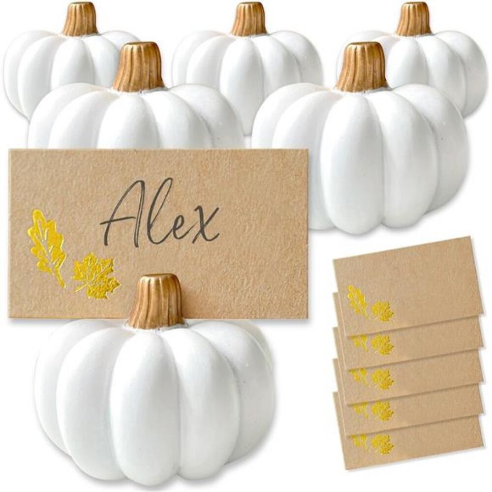 White Pumpkin Place Card Holders - Set of 6 Mini Pumpkin Card Holders